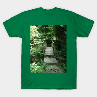 Path of Life T-Shirt